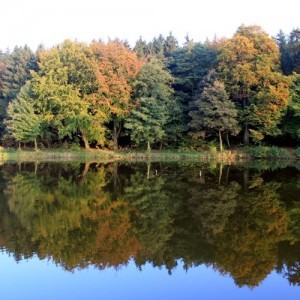 Herbstsee bei Tabarz