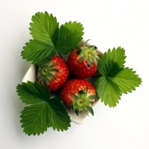Erdbeeren-Arrangement